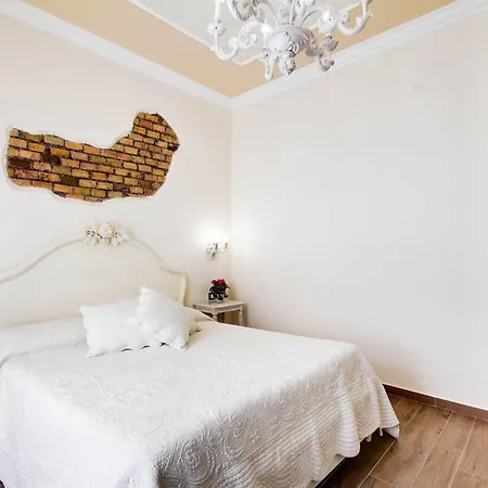 Lunaria Vaticano Affittacamere Roma